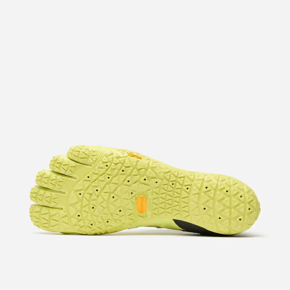 Spidrwalk