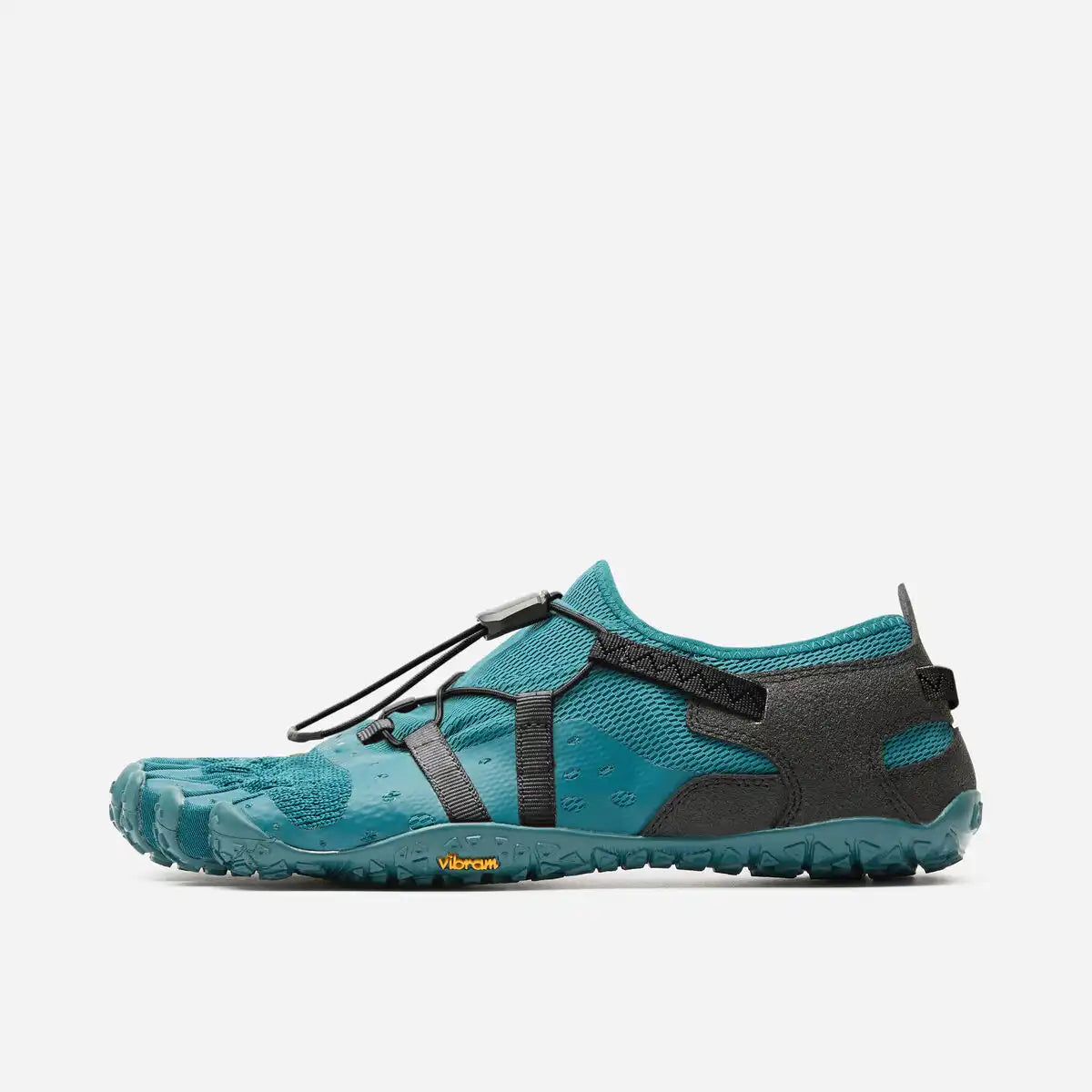 Spidrwalk