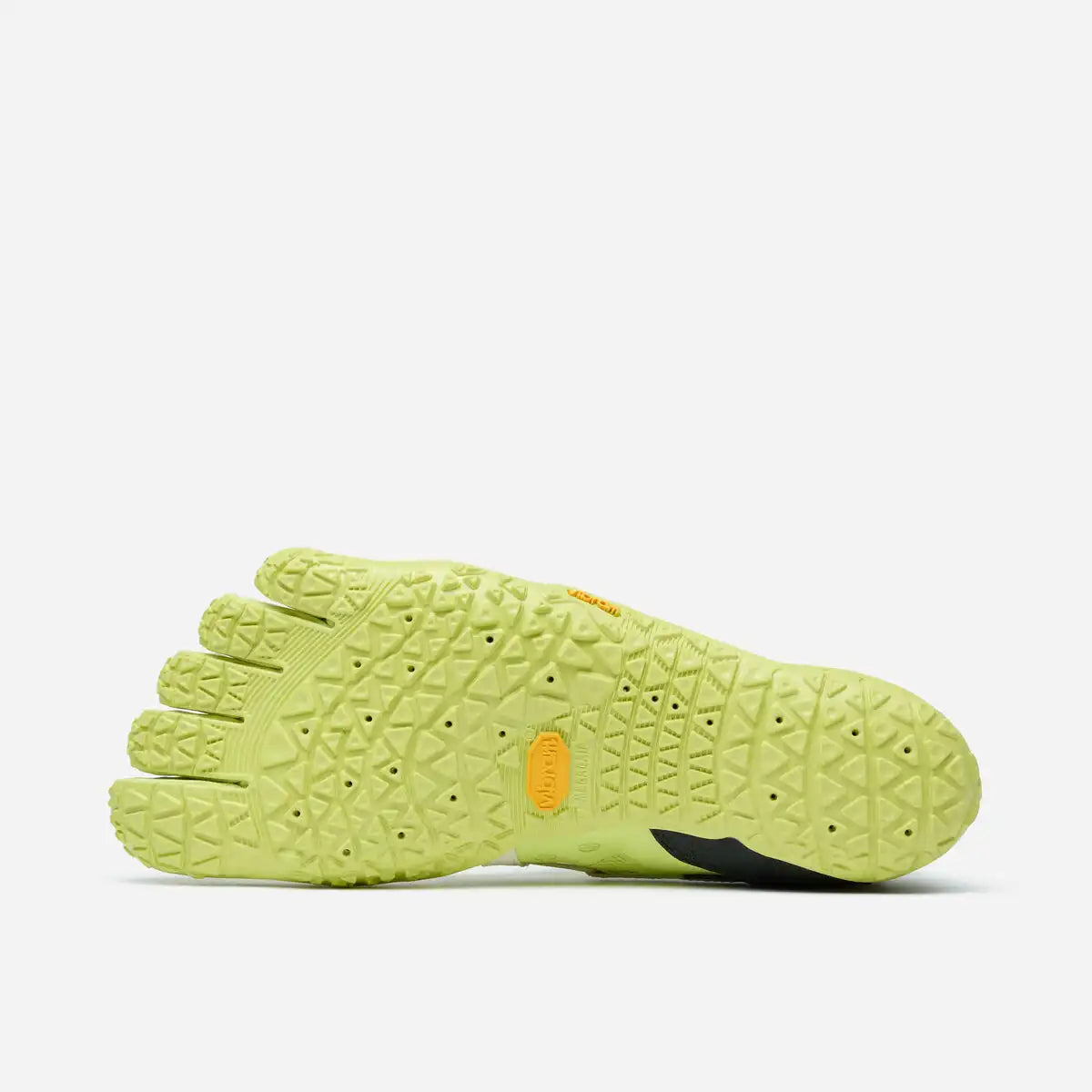 Spidrwalk