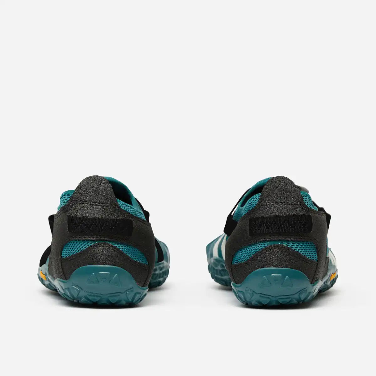 Spidrwalk