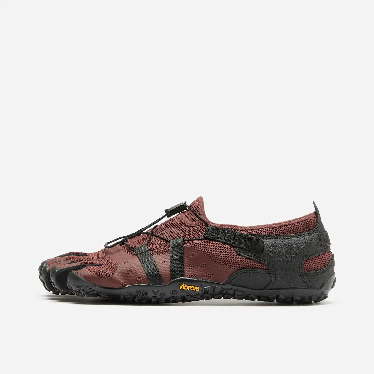 Spidrwalk