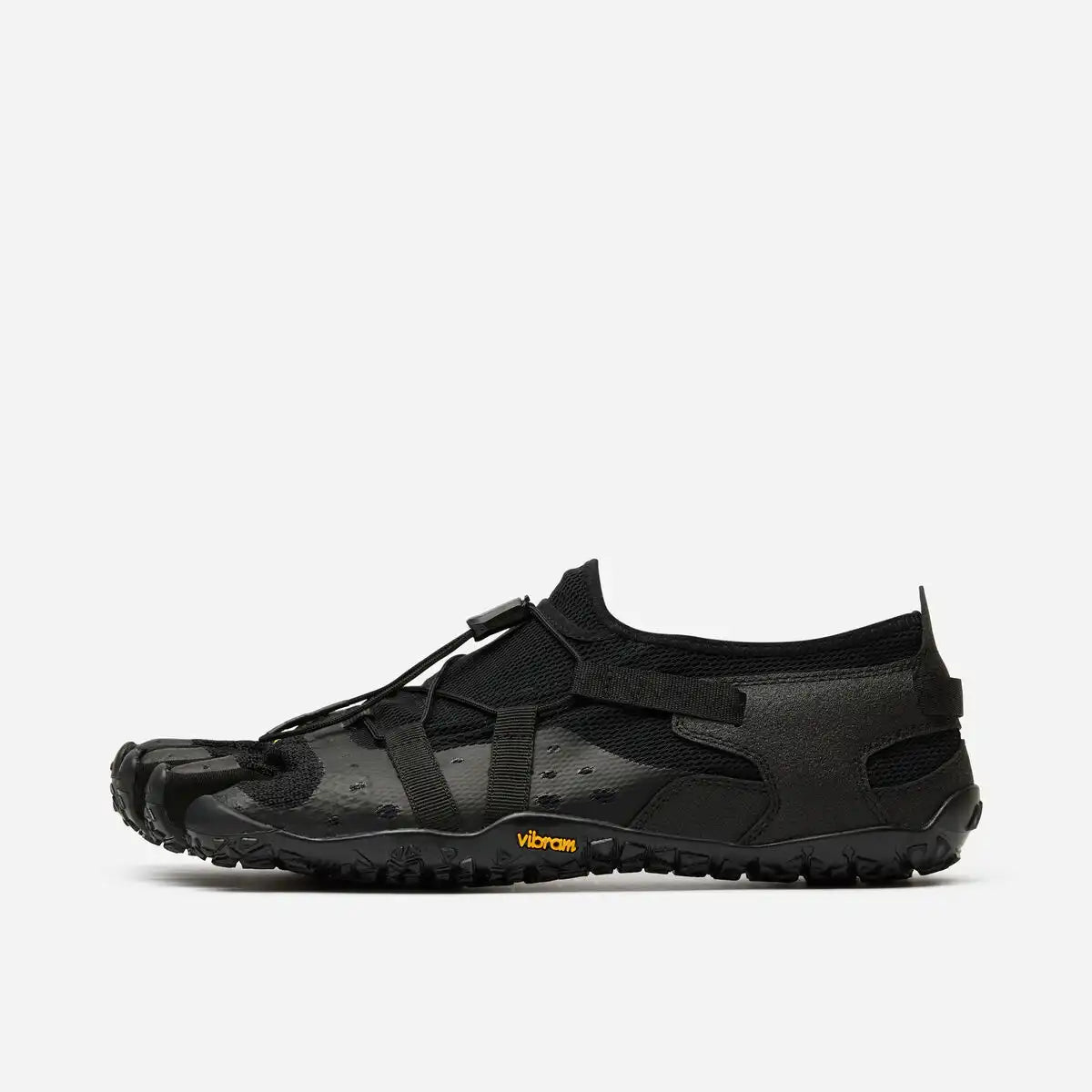 Spidrwalk